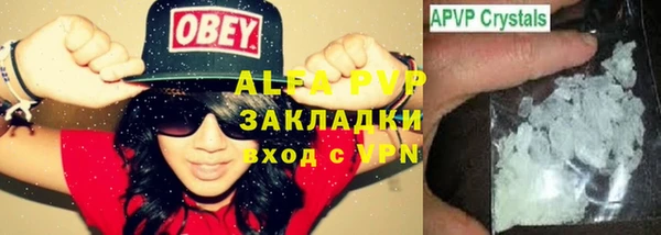 молекула духа Арсеньев
