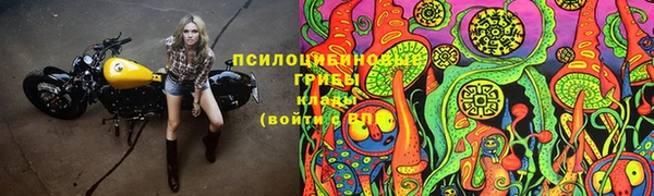 хмурый Армянск