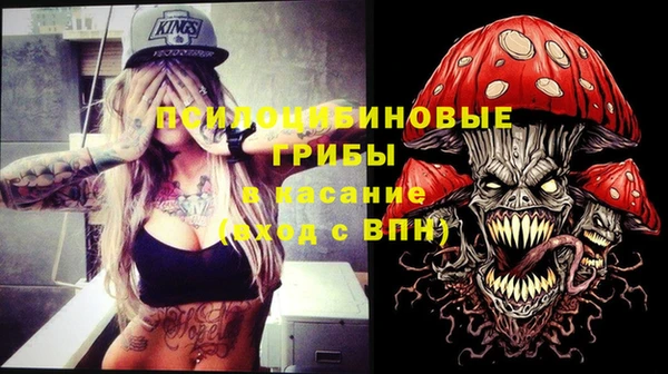 хмурый Армянск